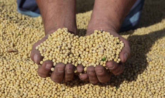 grain crystal valley cooperative